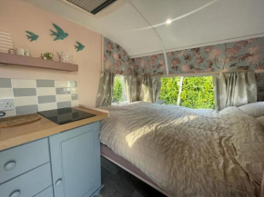 Molly The Vintage Caravan.